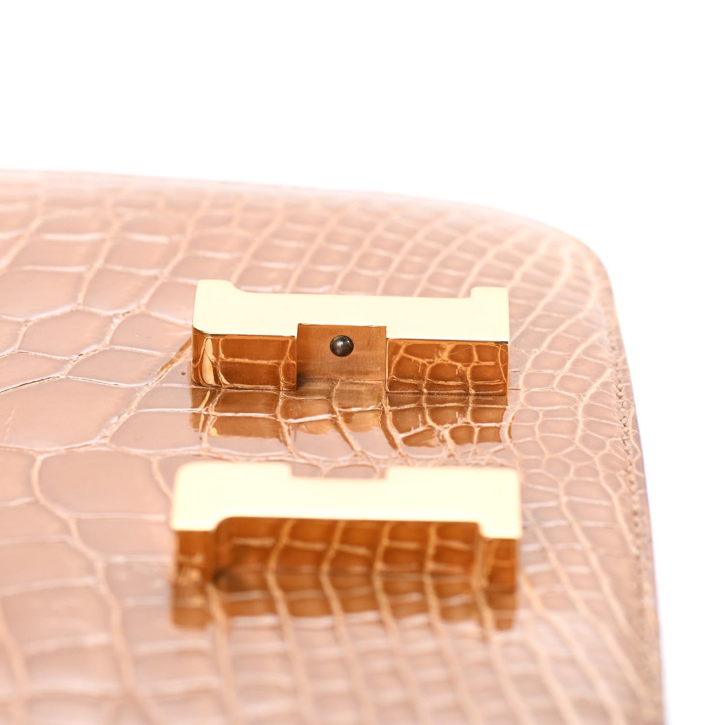 Shiny Alligator Constance 18 Tabac Camel