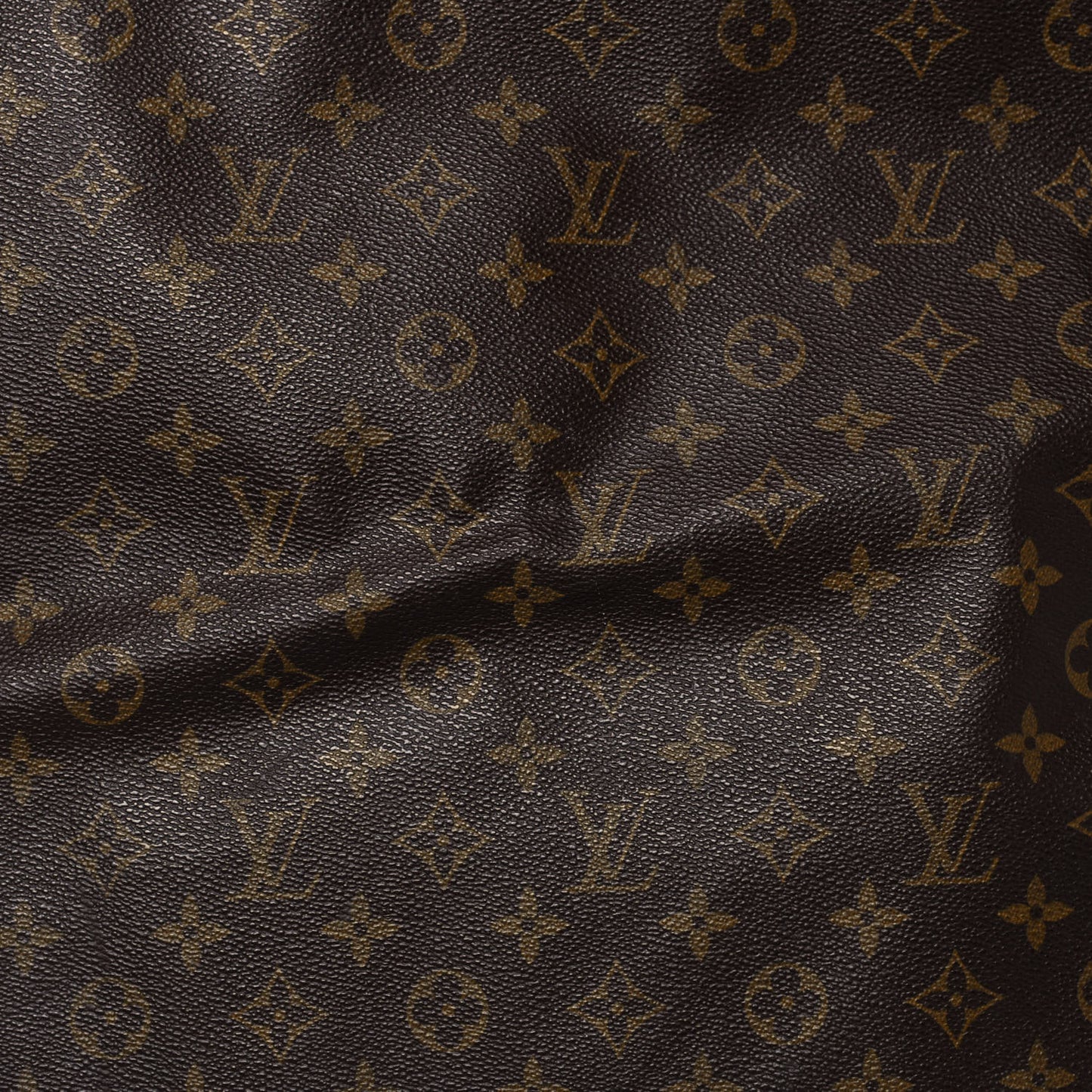 Monogram Garment Bag