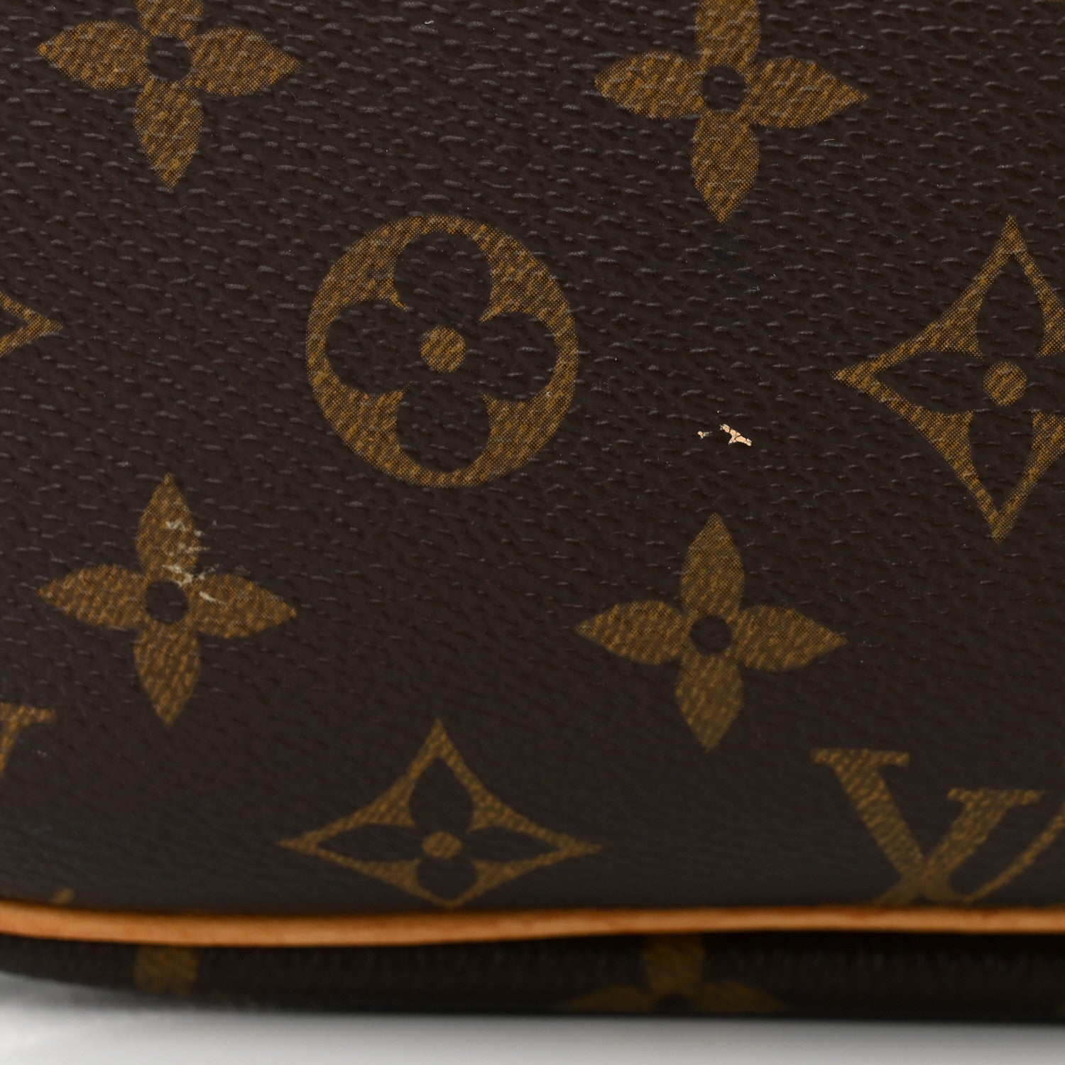 Louis Vuitton Monogram Reporter PM 11 of 13