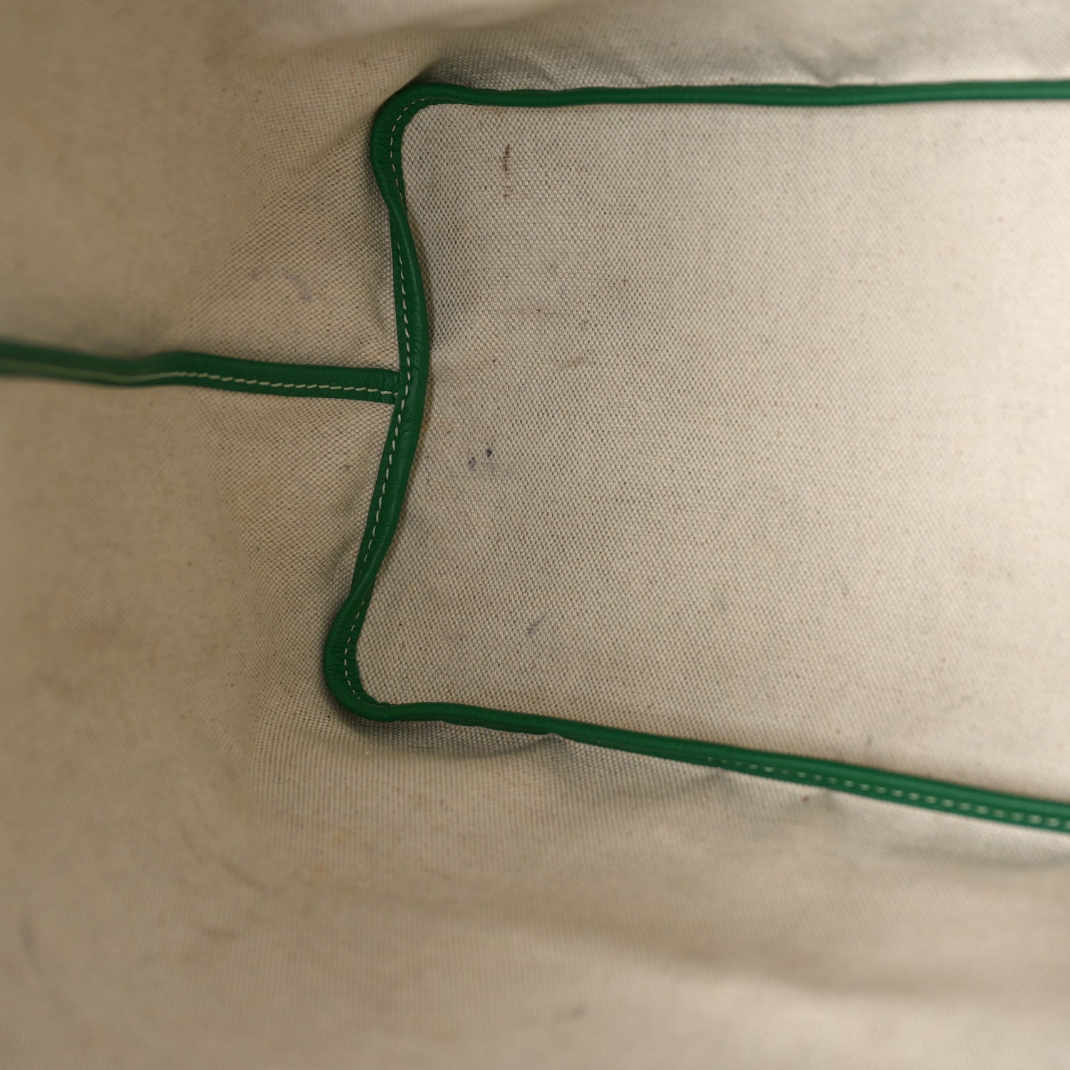 Goyard Goyardine Saint Louis PM Green 9 of 11