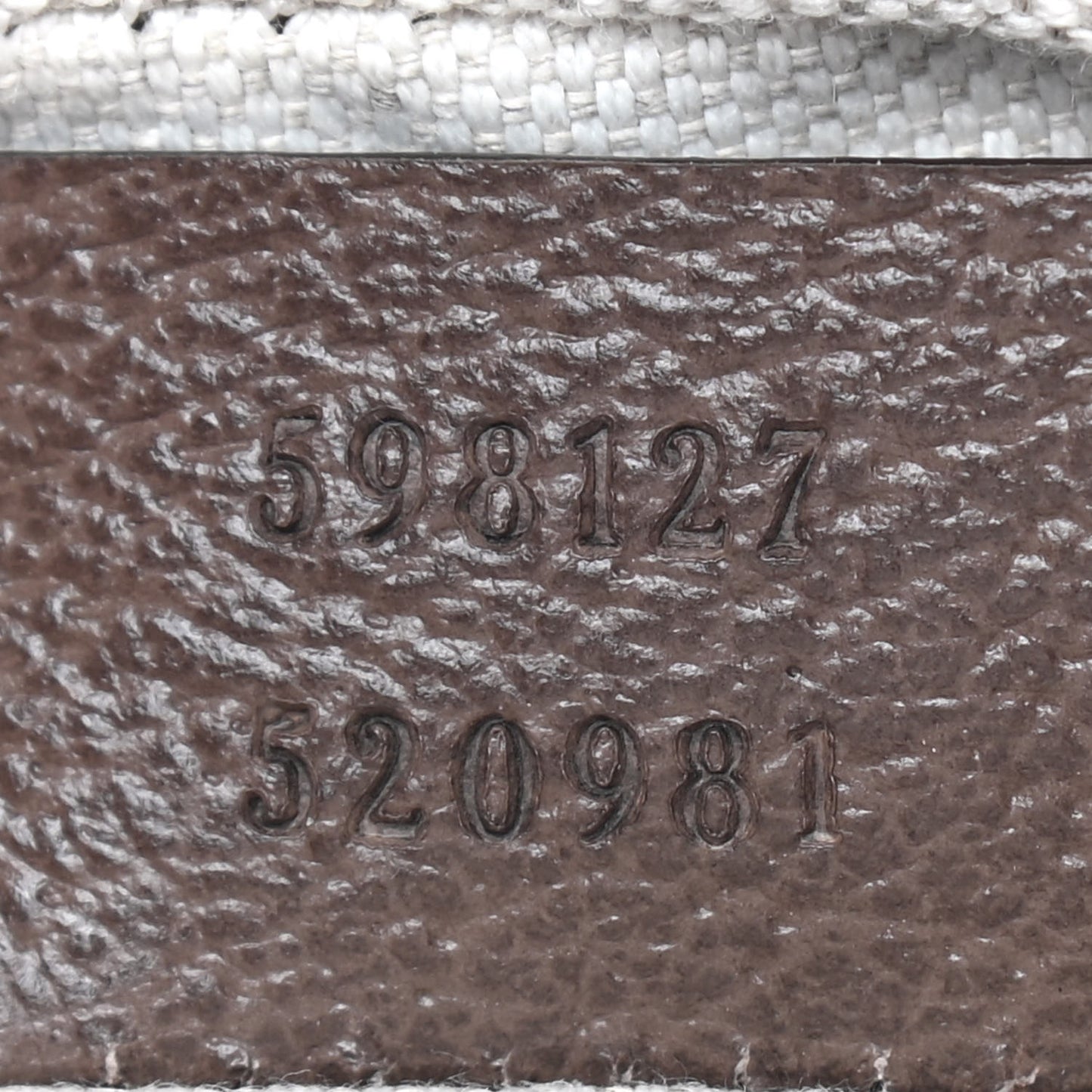 GG Supreme Monogram Web Mini Ophidia Messenger Brown