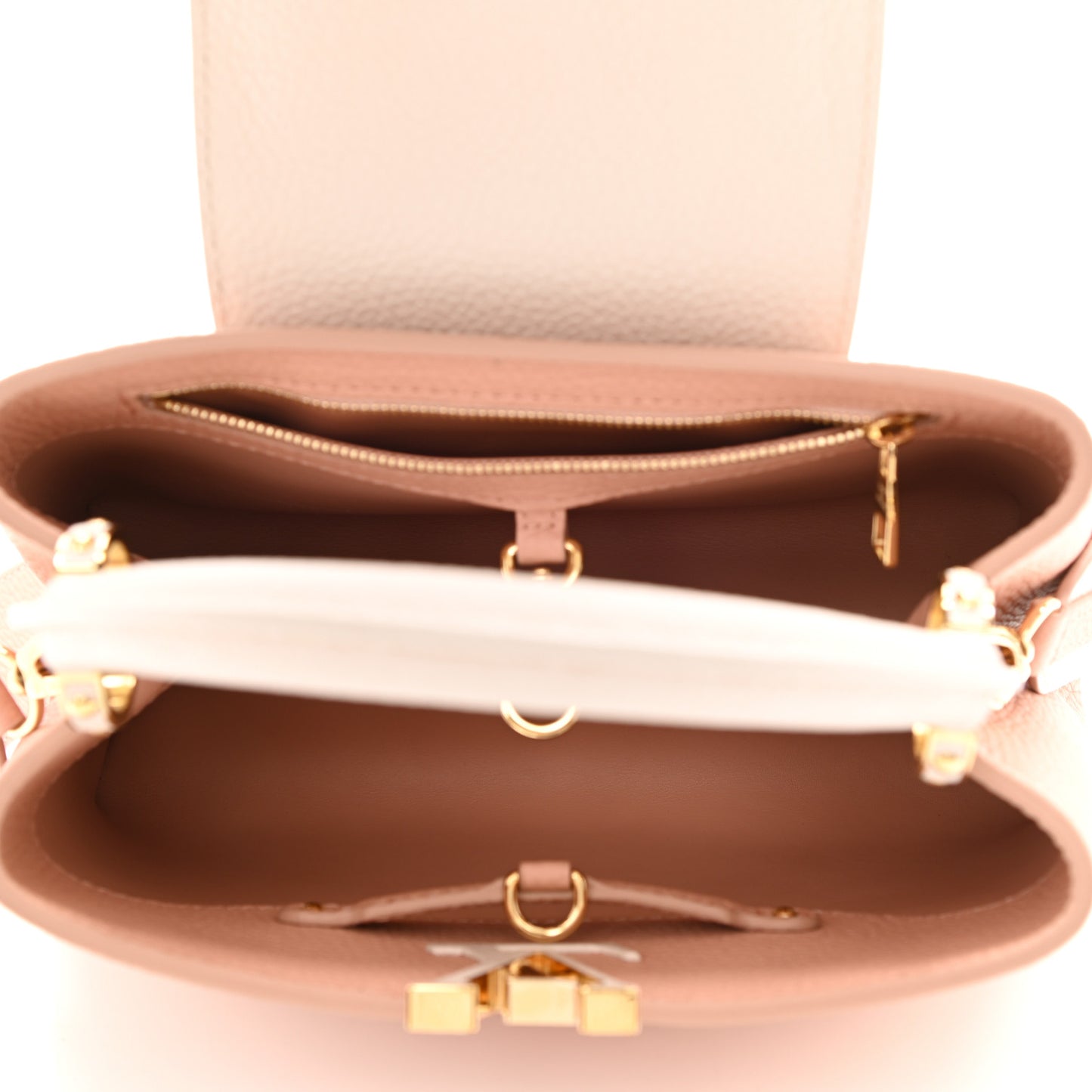 Taurillon Capucines BB