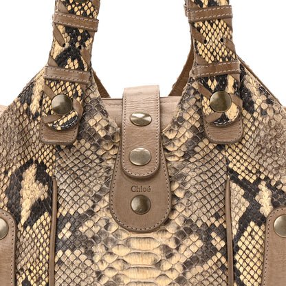 Chloe Snakeskin Calfskin Silverado Shoulder Bag Beige 8 of 14