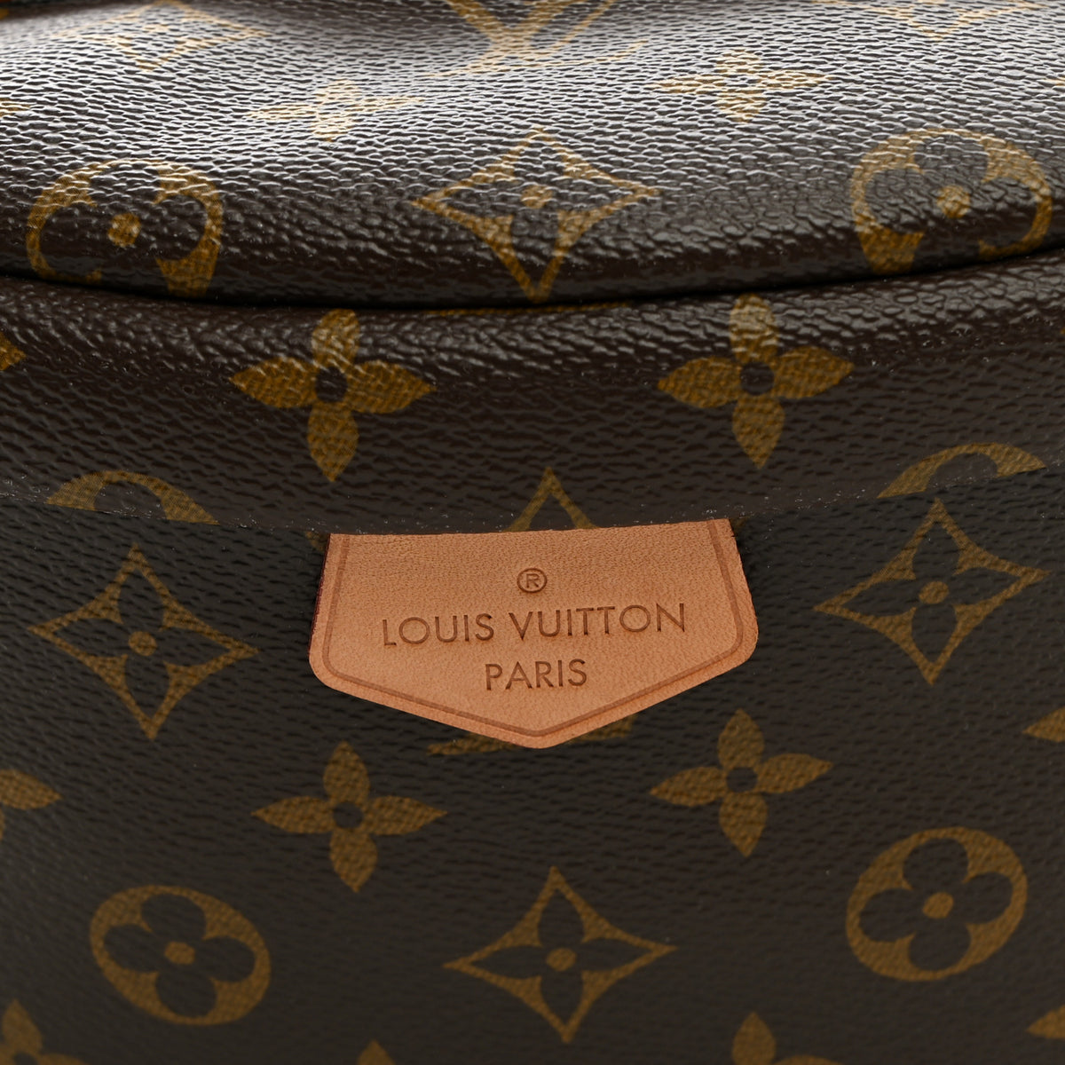 Louis Vuitton Monogram Bumbag 7 of 10