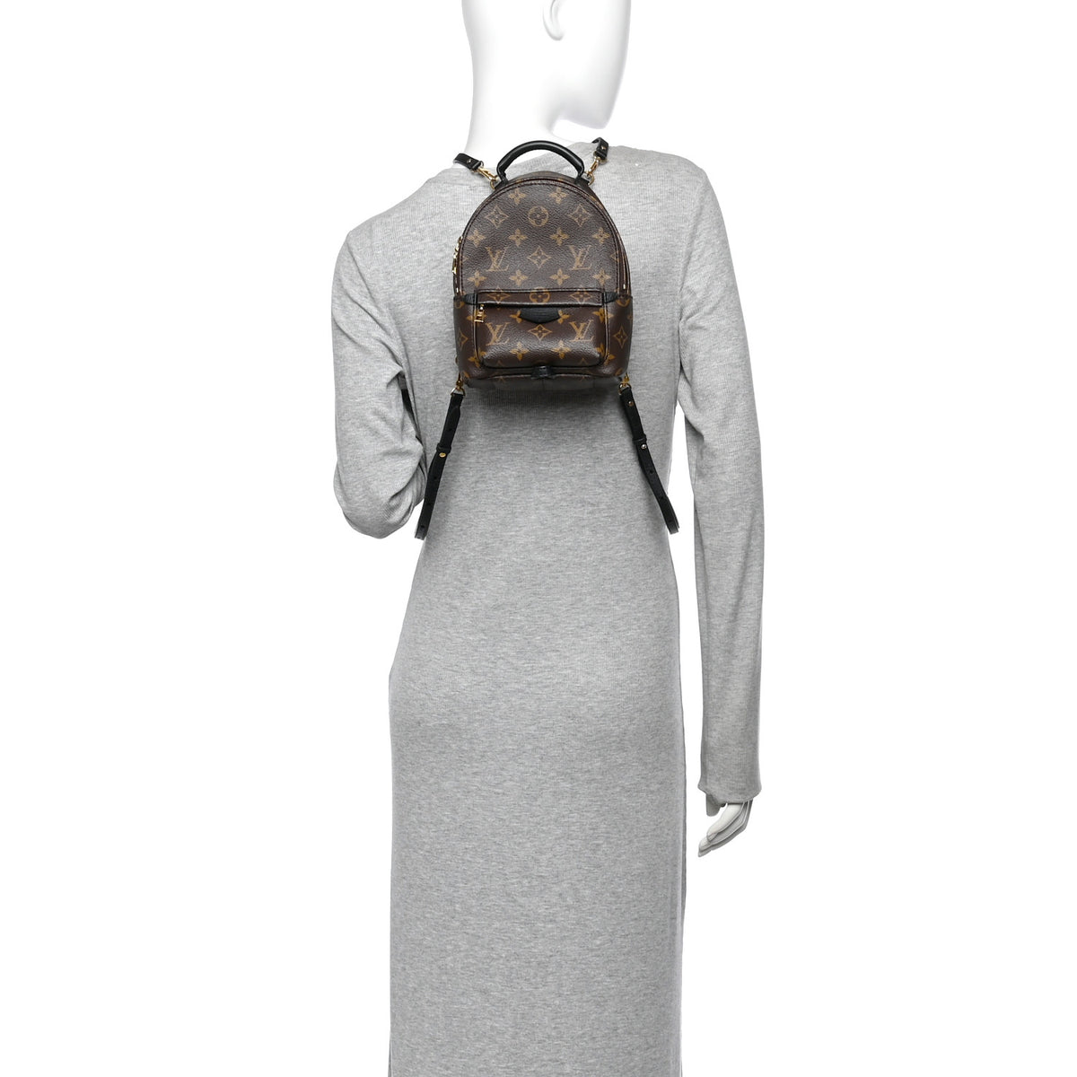 Monogram Palm Springs Backpack Mini
