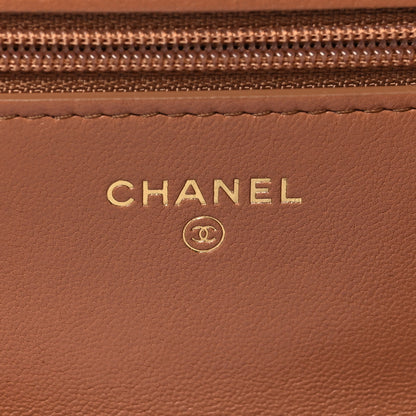 Chanel Lambskin Quilted 19 Wallet On Chain WOC Brown 6 of 13
