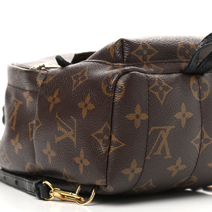 Louis Vuitton Monogram Palm Springs Backpack Mini 12 of 13