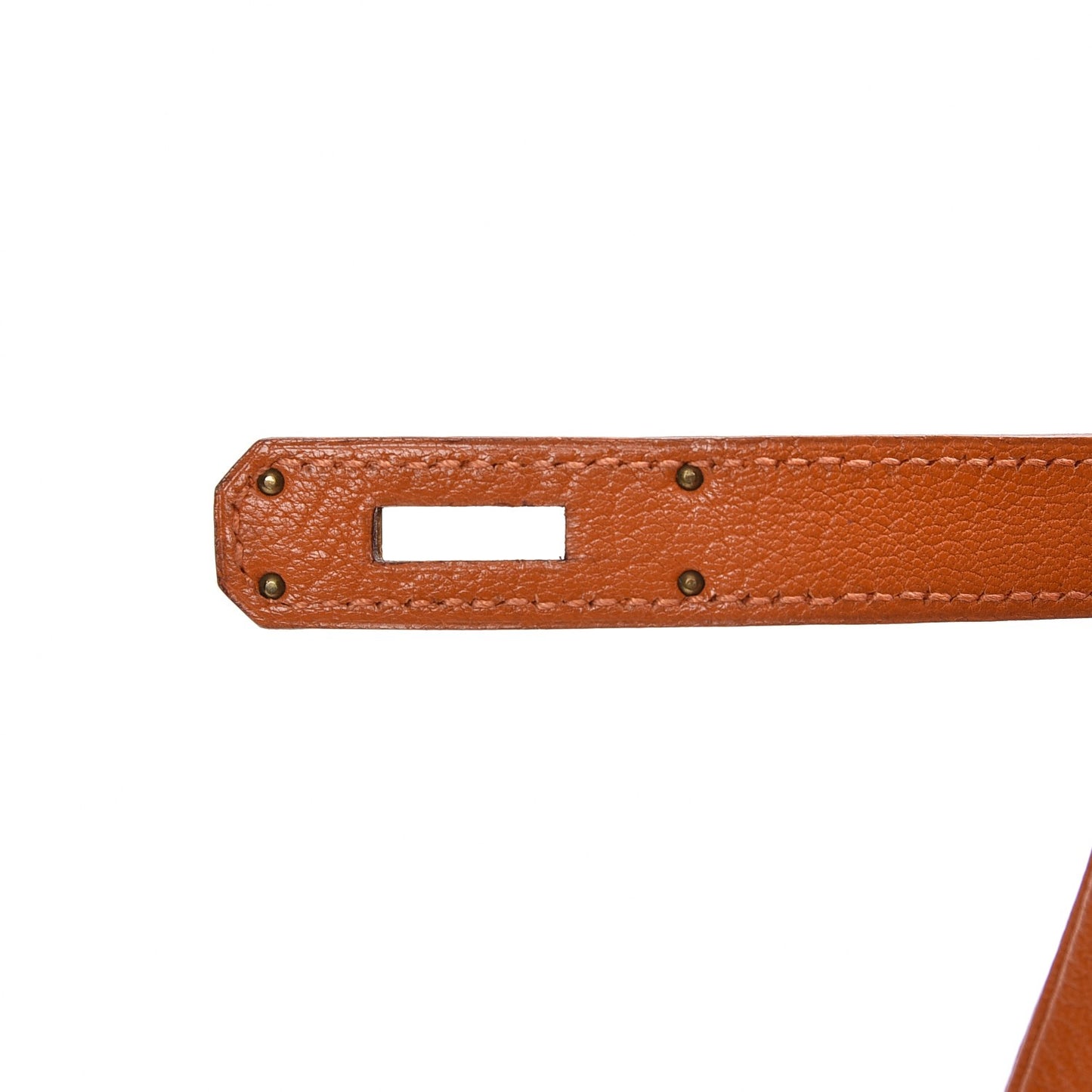 Chevre de Coromandel Birkin 30 Potiron