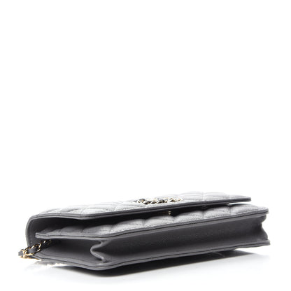 Chanel Caviar Quilted French New Wave Chain CC Wallet On Chain WOC Grey 4 of 13
