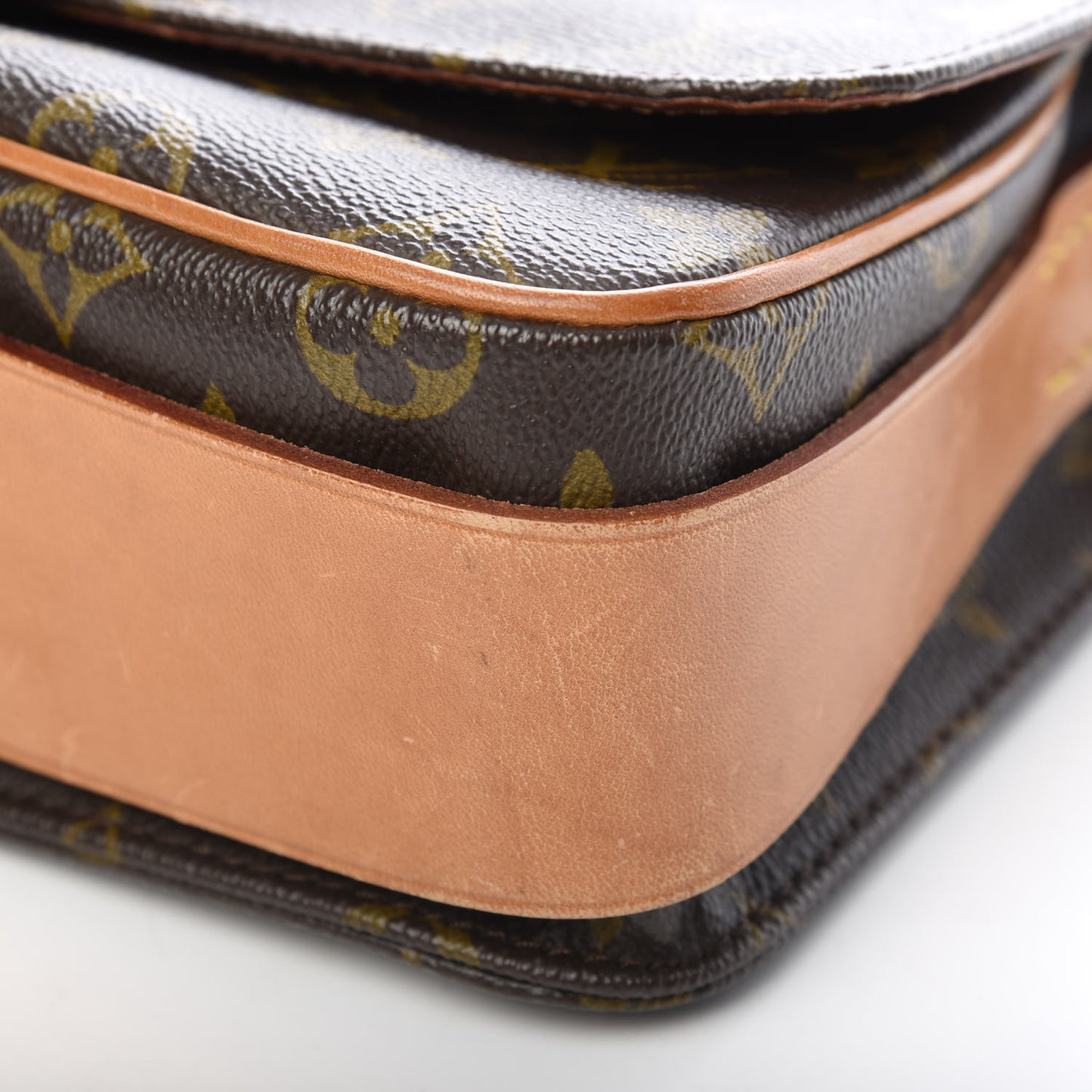 Monogram Cartouchiere 22