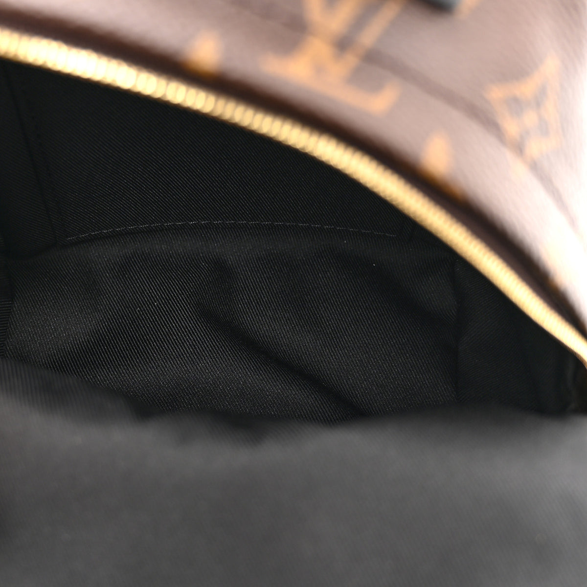 Louis Vuitton Monogram Palm Springs Backpack Mini 5 of 10