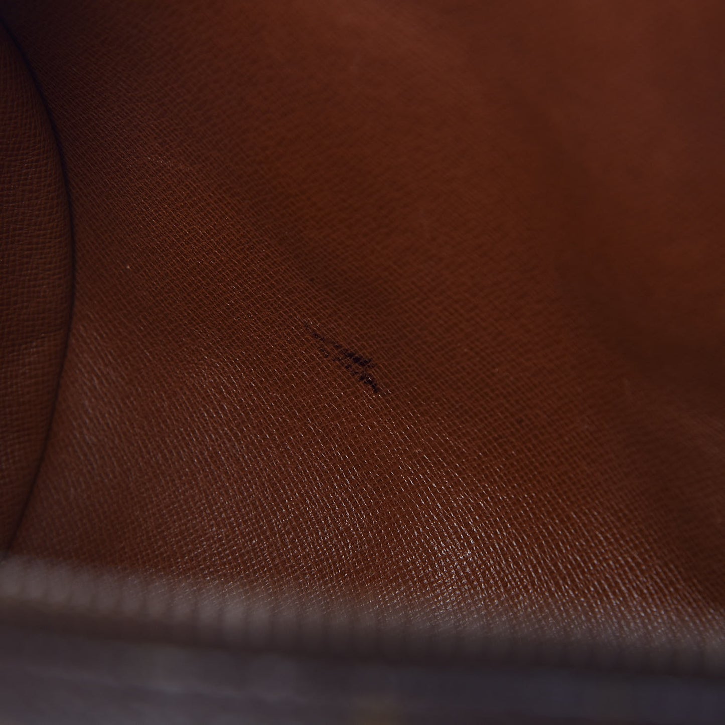 Monogram Papillon 30