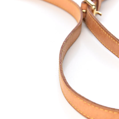 Louis Vuitton Monogram Odeon PM 10 of 19