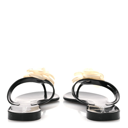 Chanel Jelly Camellia Thong Sandals 38 Black Ivory 6 of 12