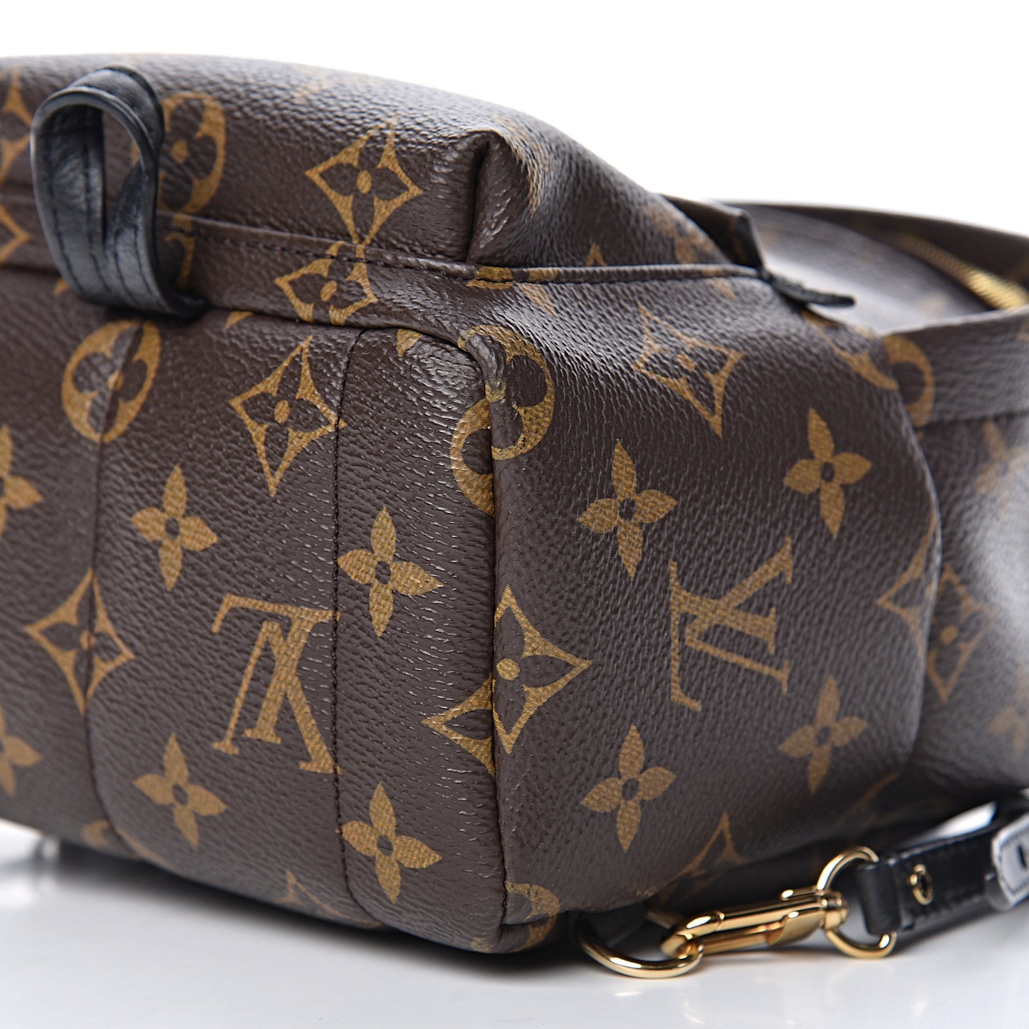 Monogram Palm Springs Backpack Mini