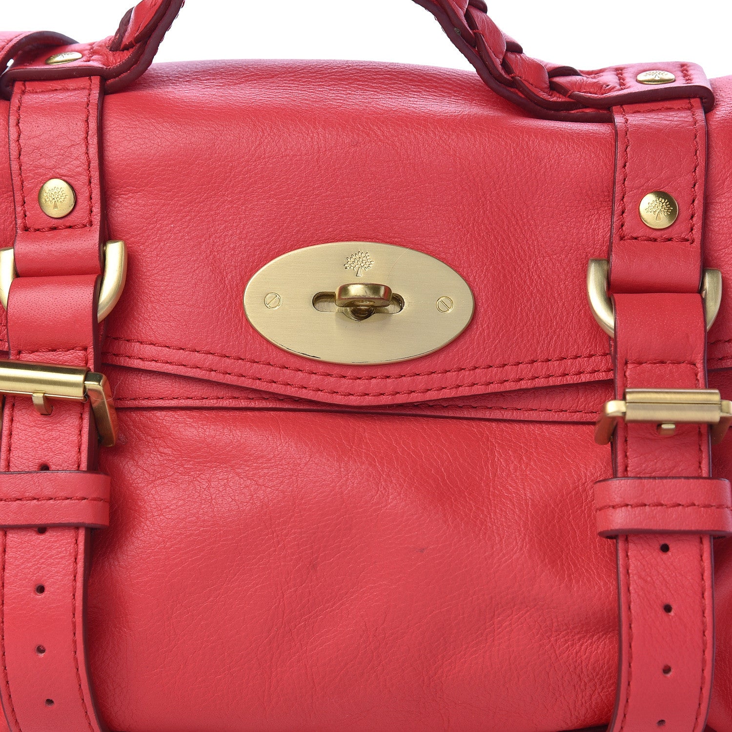 Mulberry Soft Buffalo Mini Alexa Watermelon 12 of 15