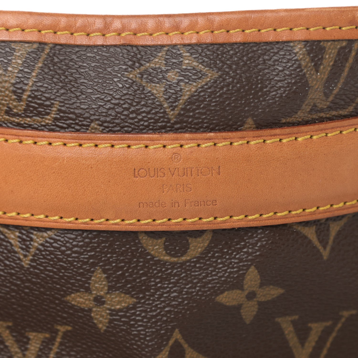 Louis Vuitton Monogram Sac Chien 50 Pet Carrier 6 of 21