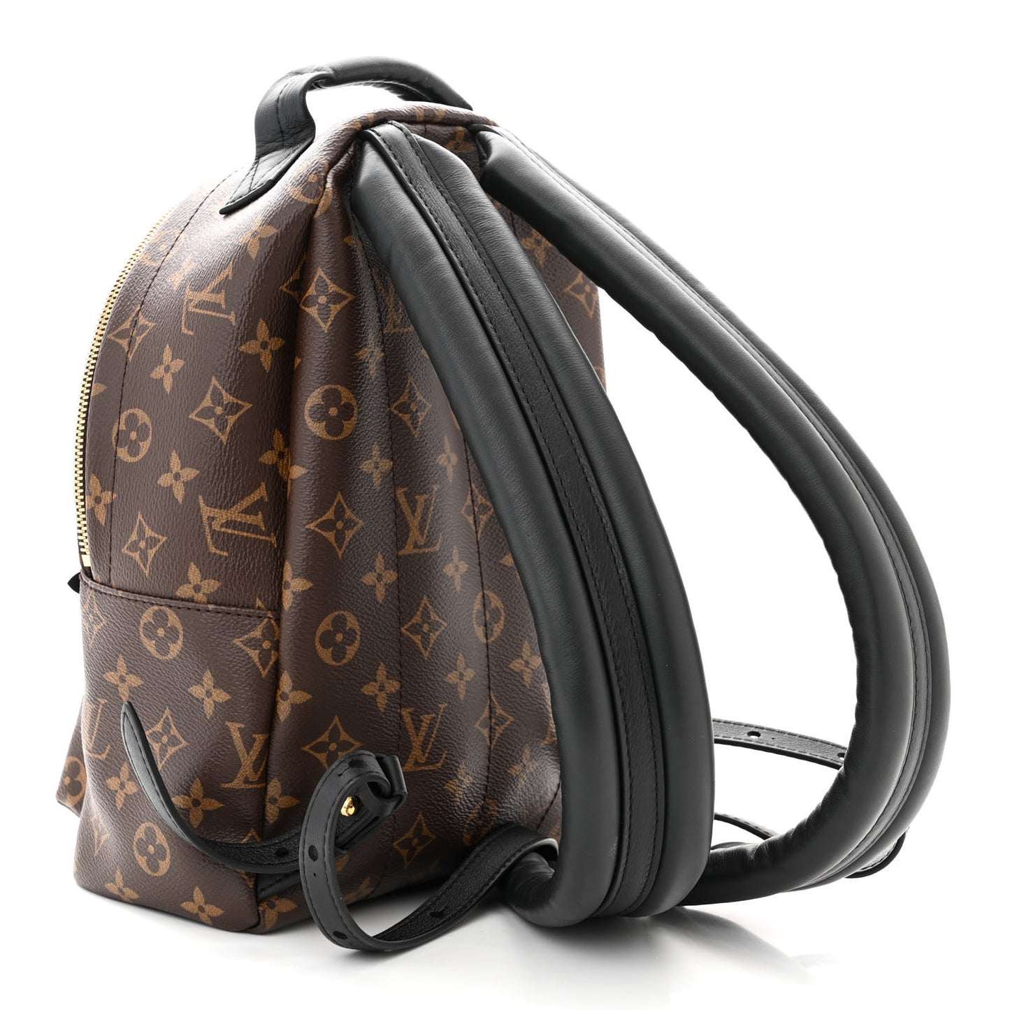 Monogram Palm Springs Backpack PM