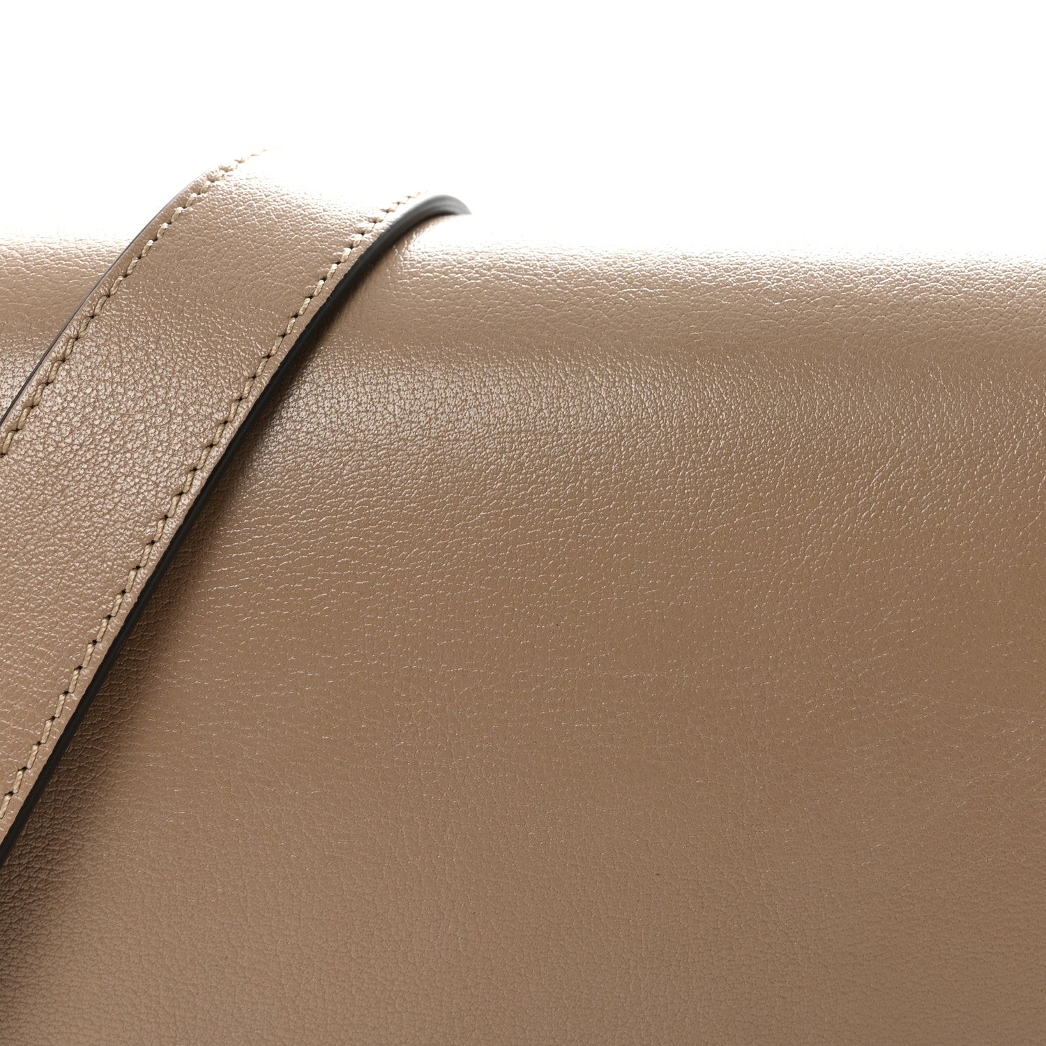 Chloe Grained Asian Water Buffalo Horse Medal Saddle Crossbody Bag Boyish Brown 8 of 10