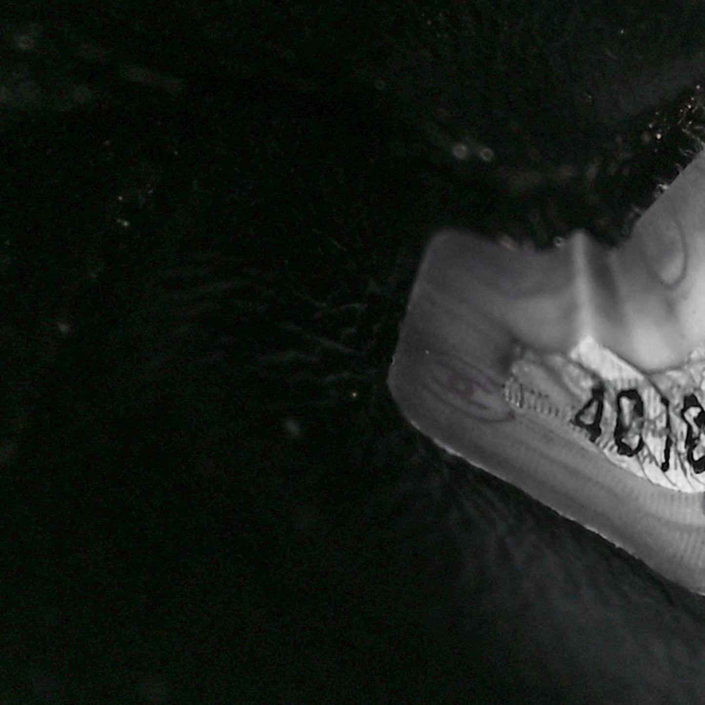 Lambskin Quilted Jumbo Single Flap Black