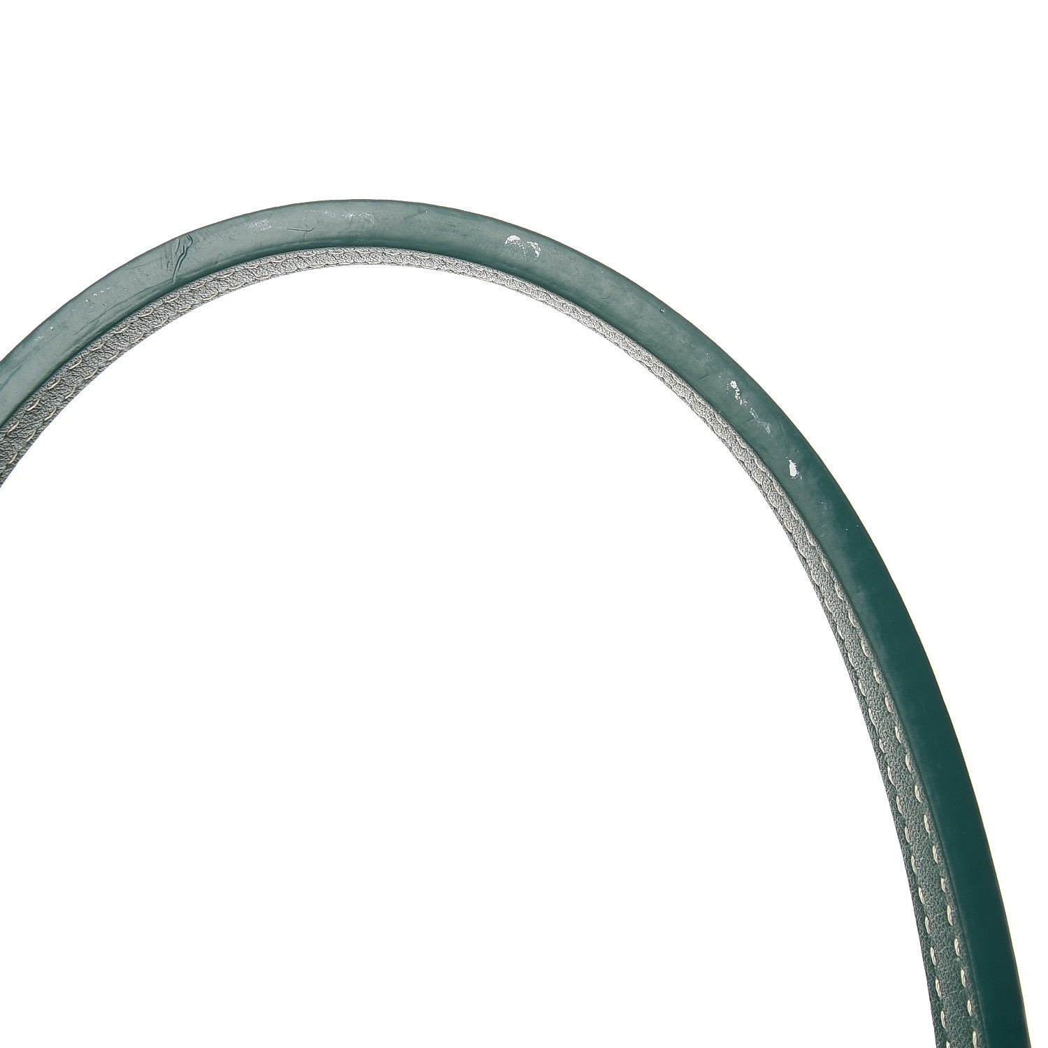 Goyard Goyardine Saint Louis PM Green 11 of 11