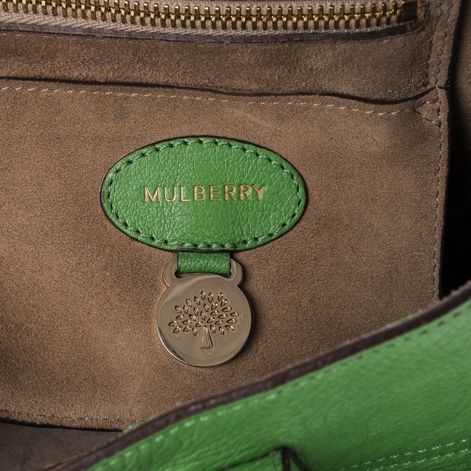 Mulberry Goatskin Bayswater Grass Green 6 of 13