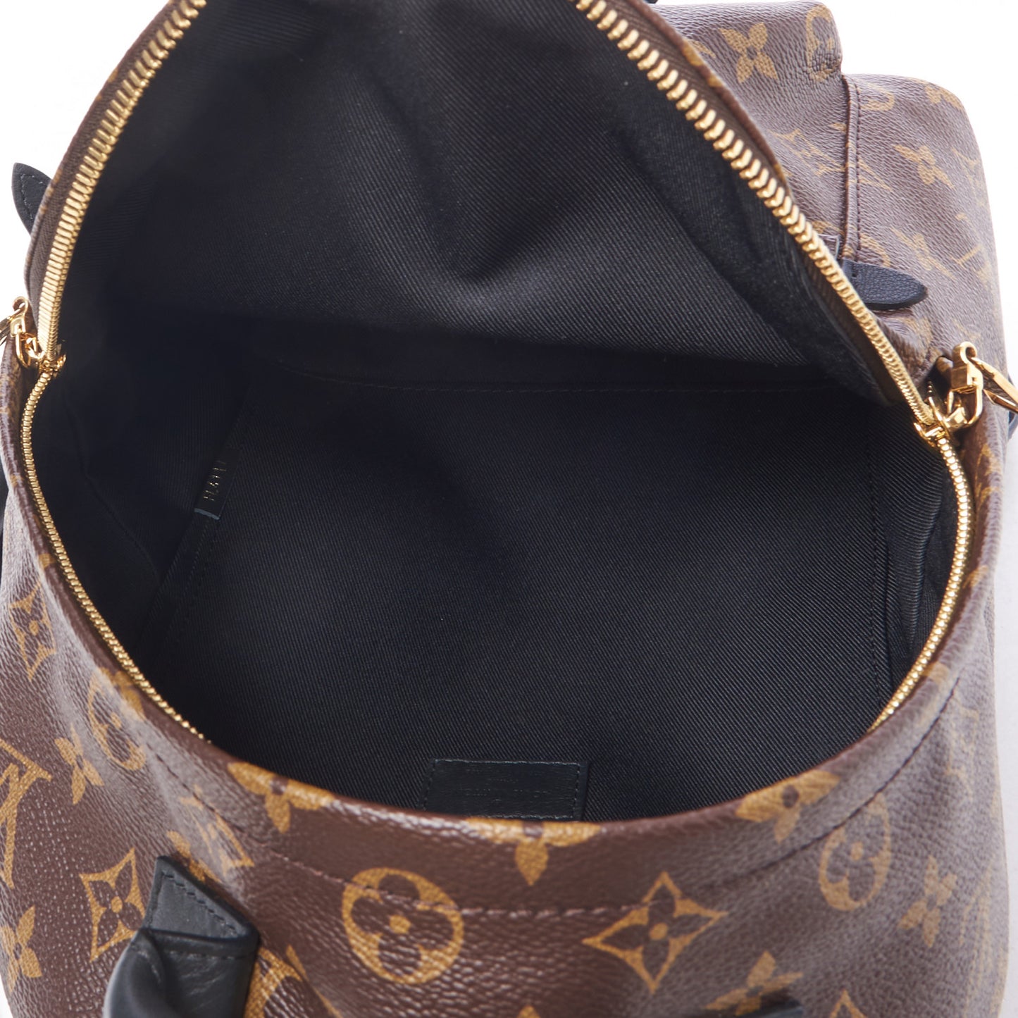Monogram Palm Springs Backpack PM