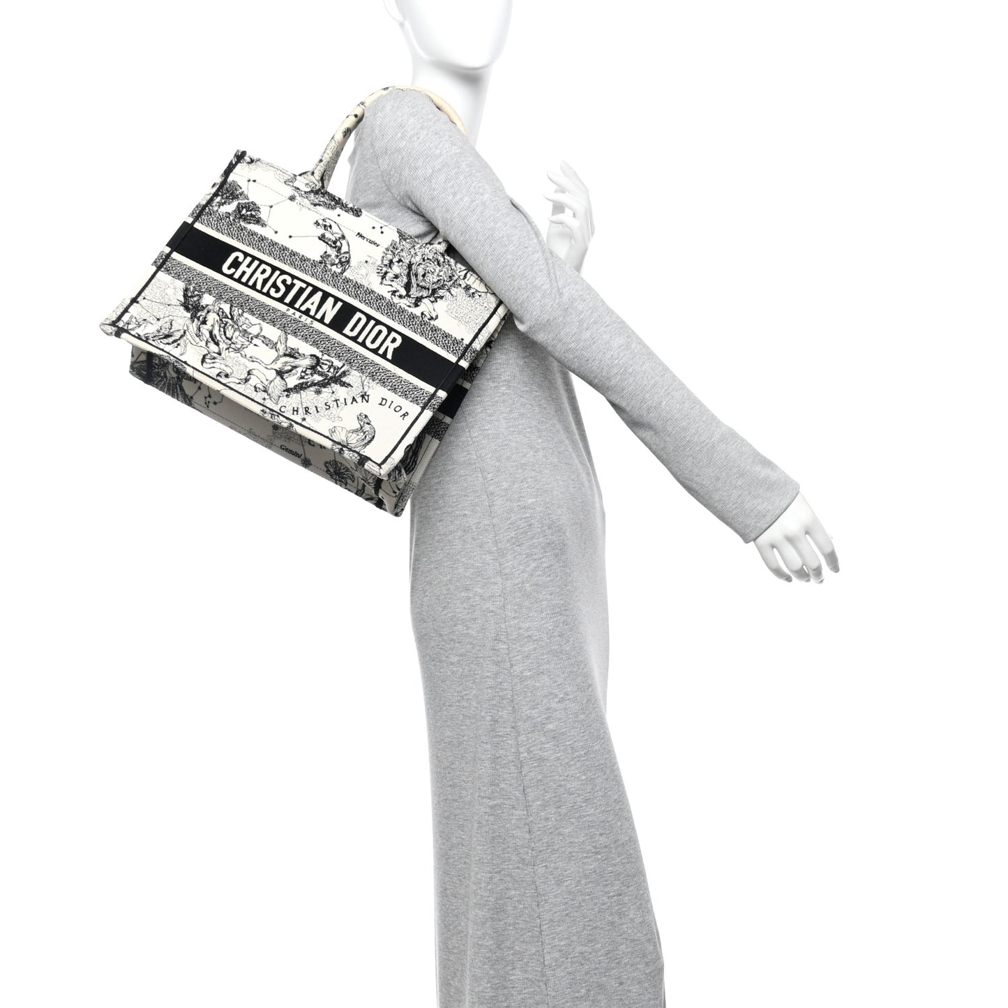 Canvas Zodiac Toile De Jouy Embroidered Medium Book Tote Latte