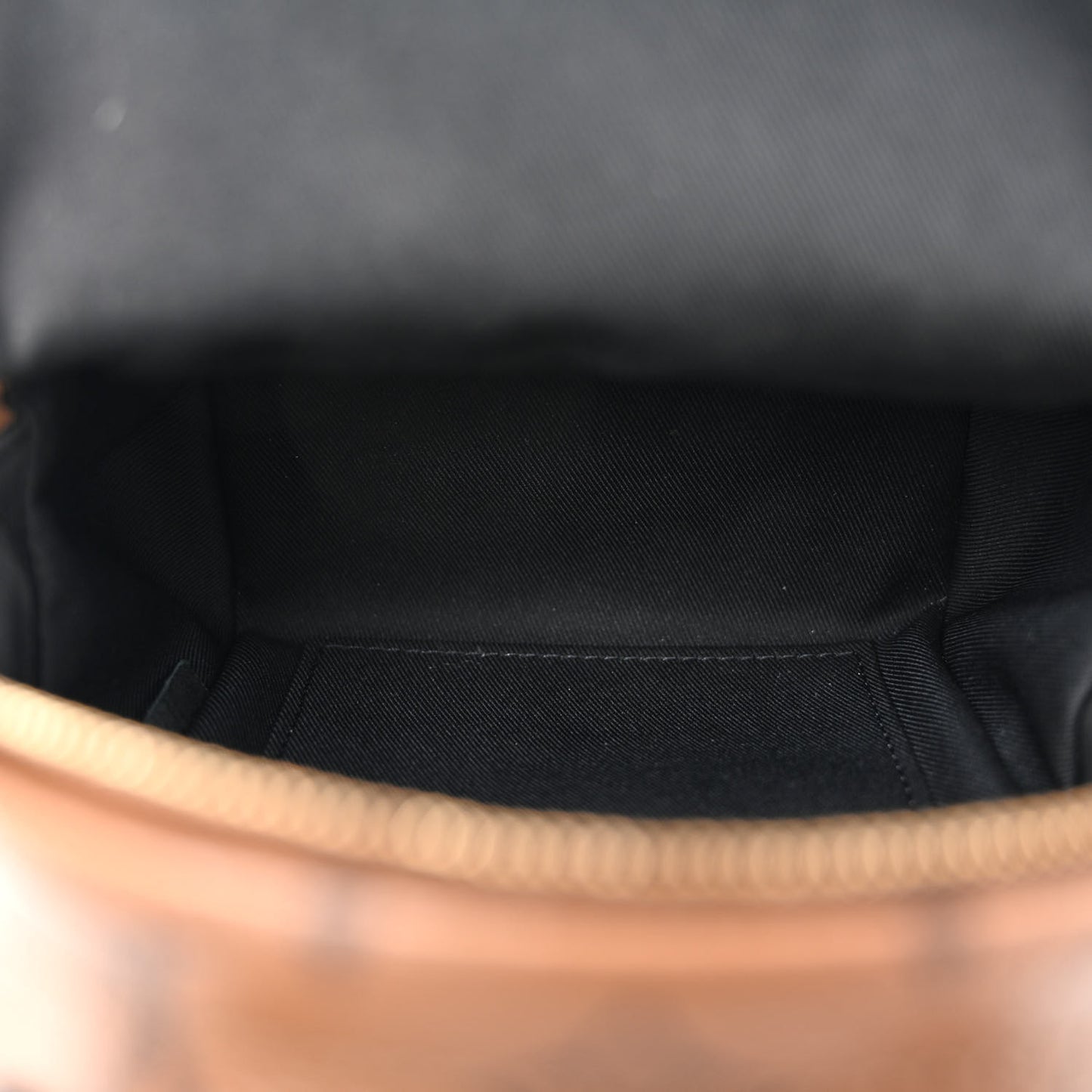 Reverse Monogram Palm Springs Backpack Mini