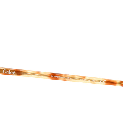Chloe Acetate Sunglasses CH0104S Tortoise 6 of 7