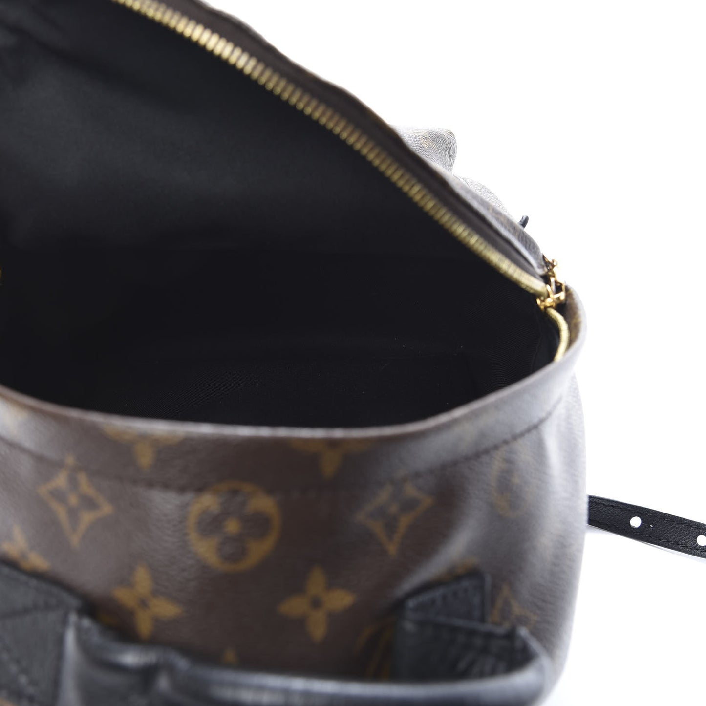 Monogram Palm Springs Backpack PM