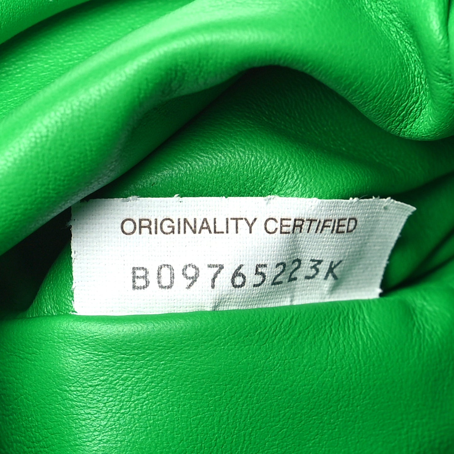 Butter Calfskin The Mini Pouch Parakeet