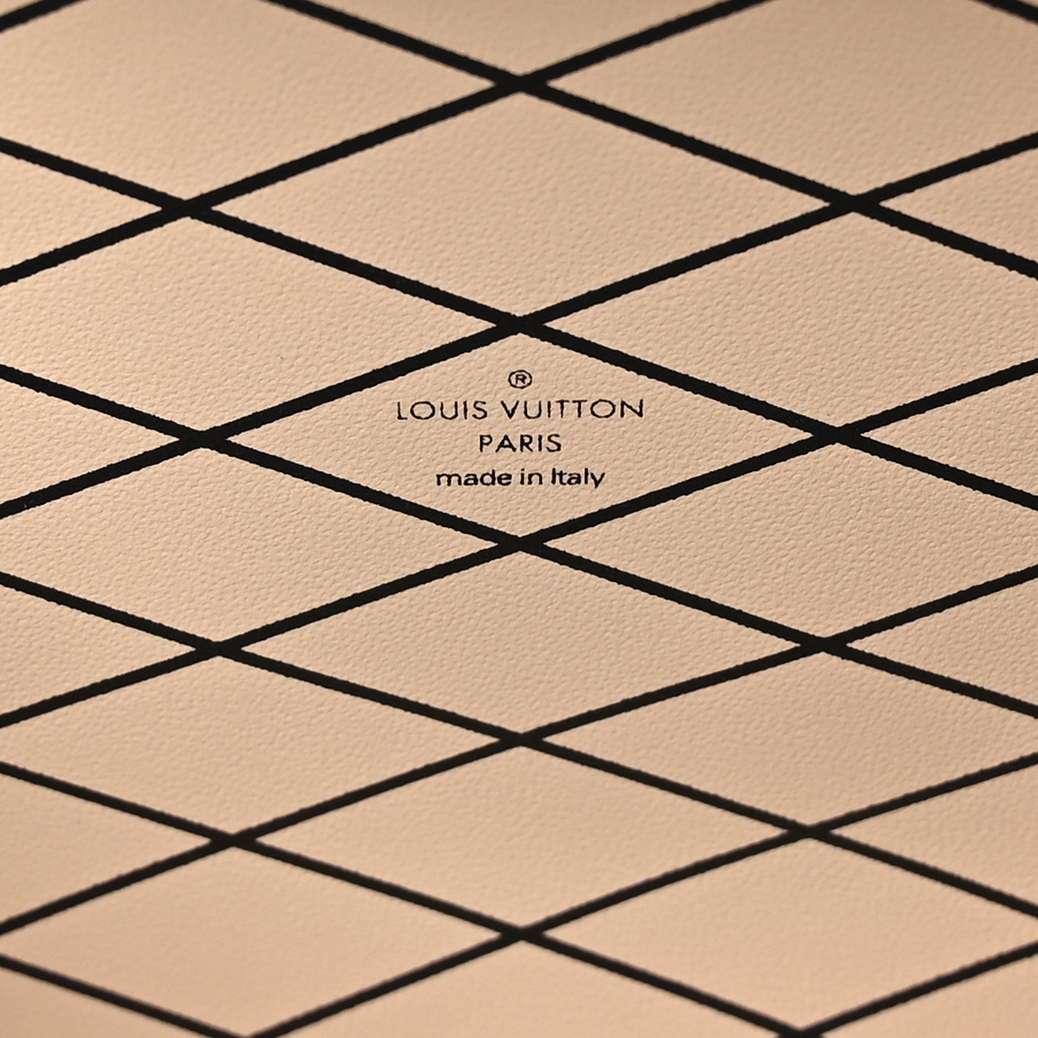 Louis Vuitton Lizard Petite Malle Vegetal Luxe 6 of 9