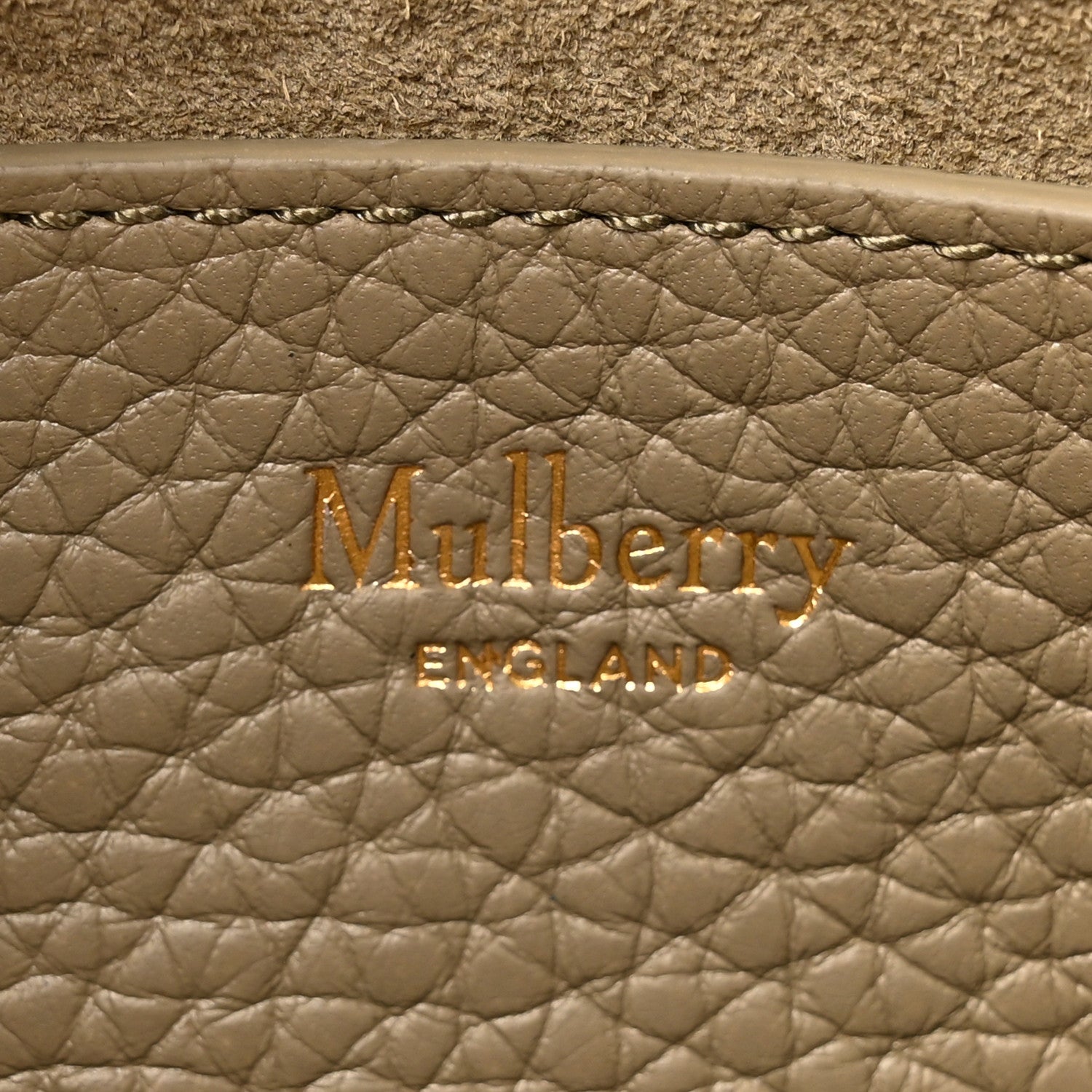 Mulberry Heavy Grain Mini Alexa Linen Green 6 of 9