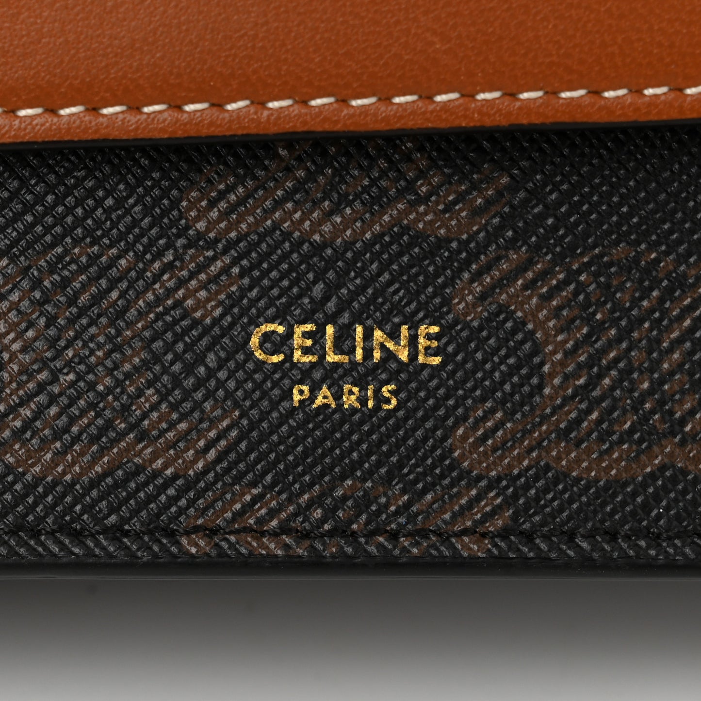 Triomphe Canvas Lambskin Wallet On Strap Tan