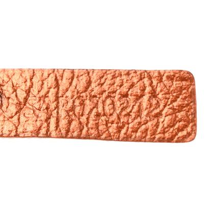 Goyard Goyardine Precious Metals Saint Louis PM Rose Gold 8 of 11