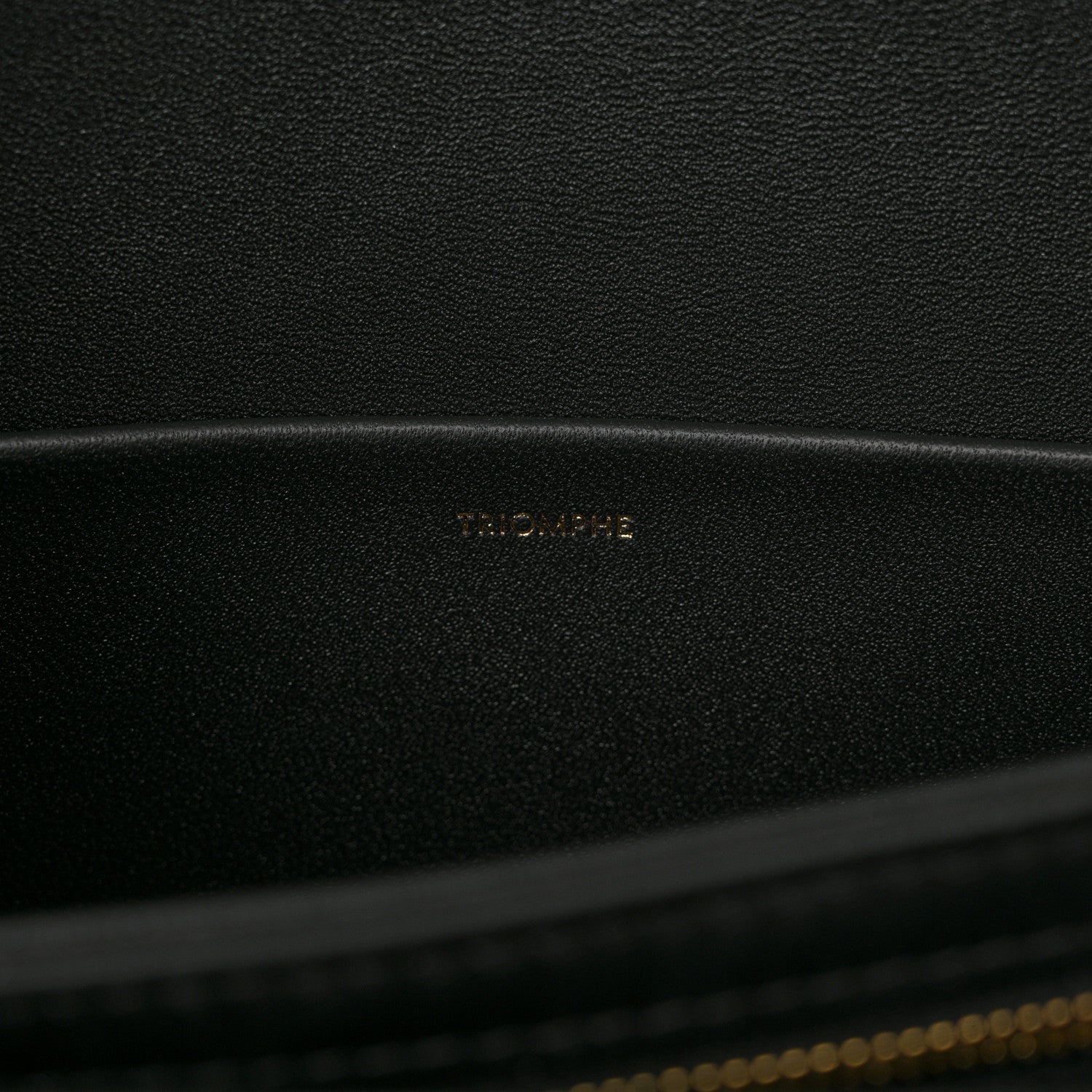 Celine Shiny Calfskin Medium Triomphe Black 7 of 11