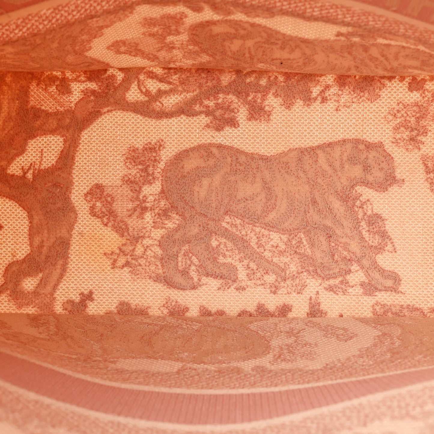 Canvas Embroidered Medium Dioriviera Toile De Jouy Book Tote Rose