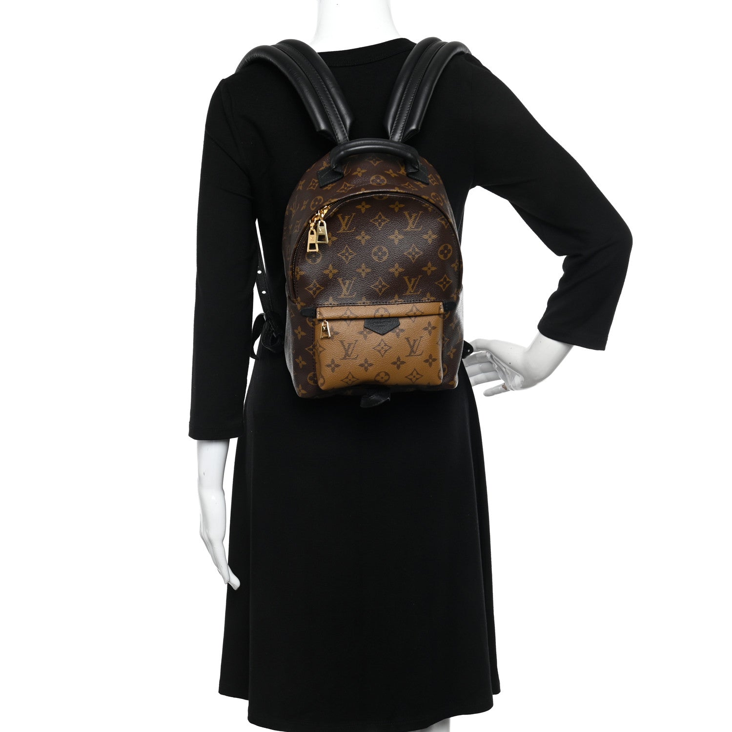 Louis Vuitton Reverse Monogram Palm Springs Backpack PM 2 of 10