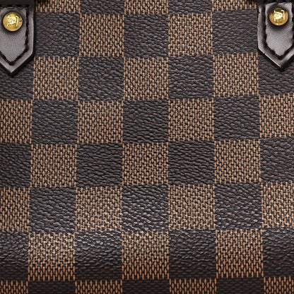 Louis Vuitton Damier Ebene Ribera Mini 7 of 10