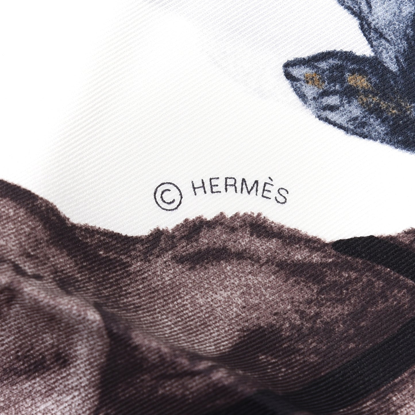 Silk Les Bassets Scarf 70 White Gris Bluete