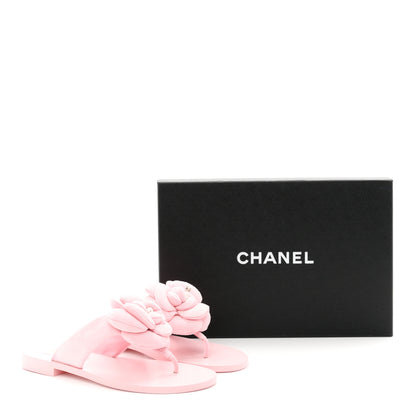 Chanel Suede Pearl Camellia Thong Sandals 37 Light Pink 10 of 10