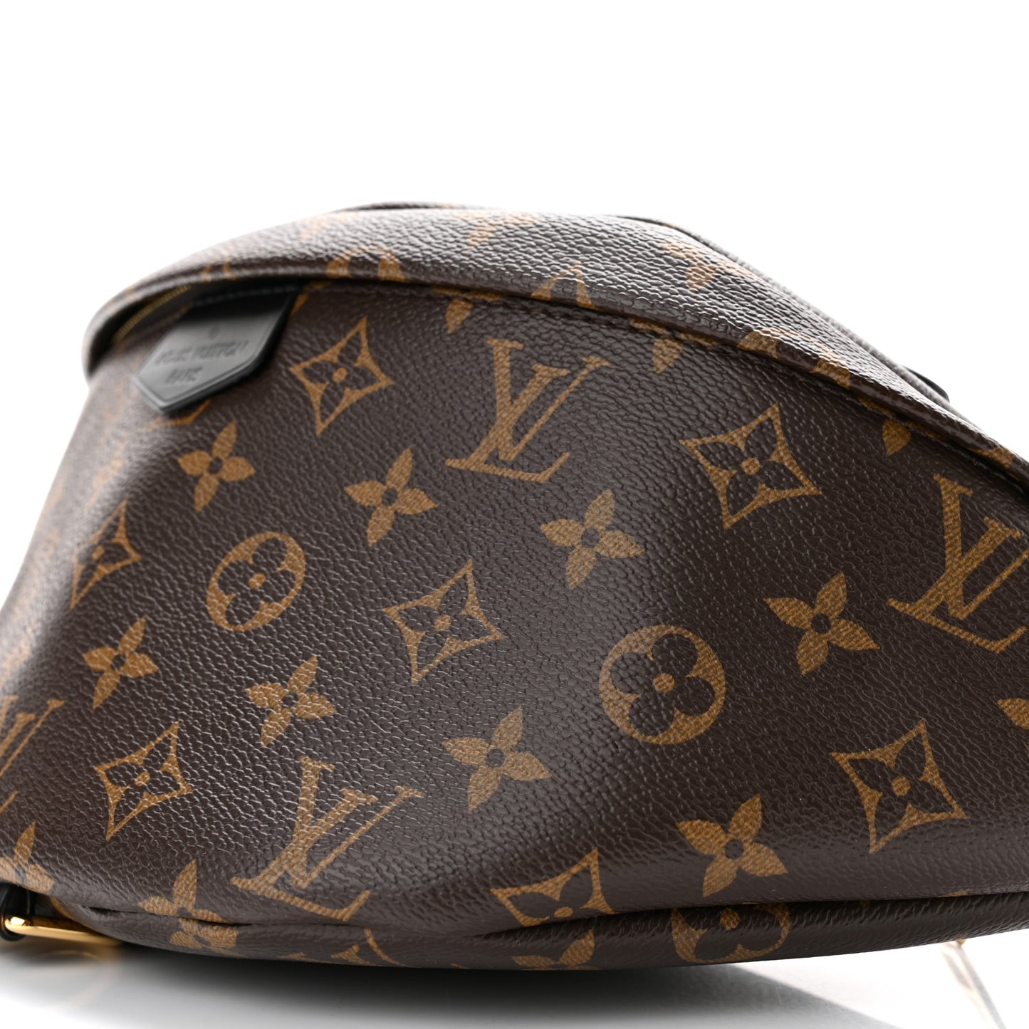 Monogram My LV World Tour Bumbag