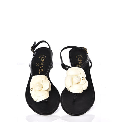 Chanel Lambskin Camellia Thong Sandals 35.5 Black White 5 of 11