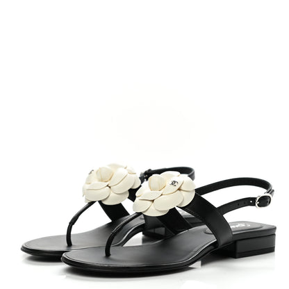 Chanel Lambskin Camellia Thong Sandals 36.5 Black White 3 of 9