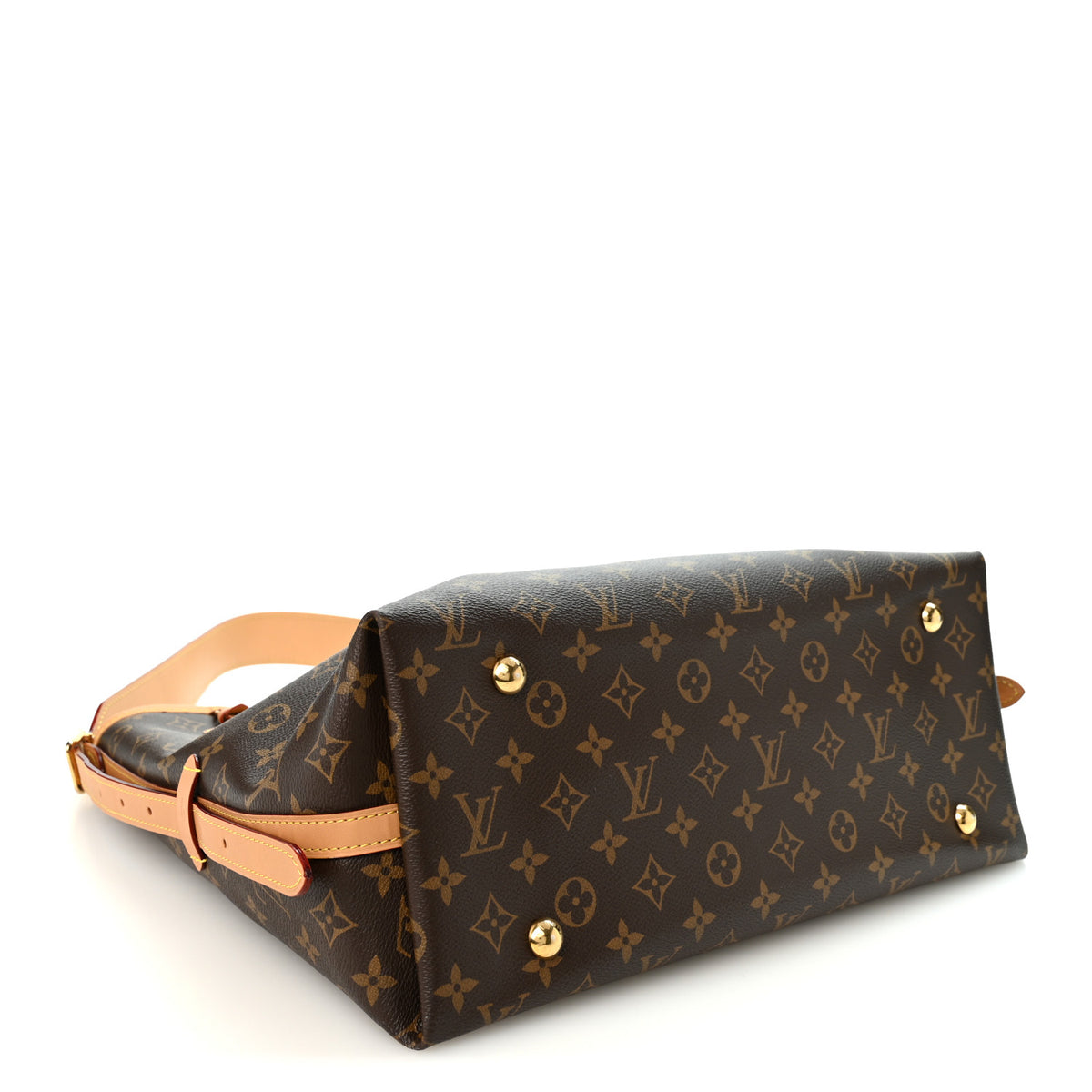 Monogram Carryall MM