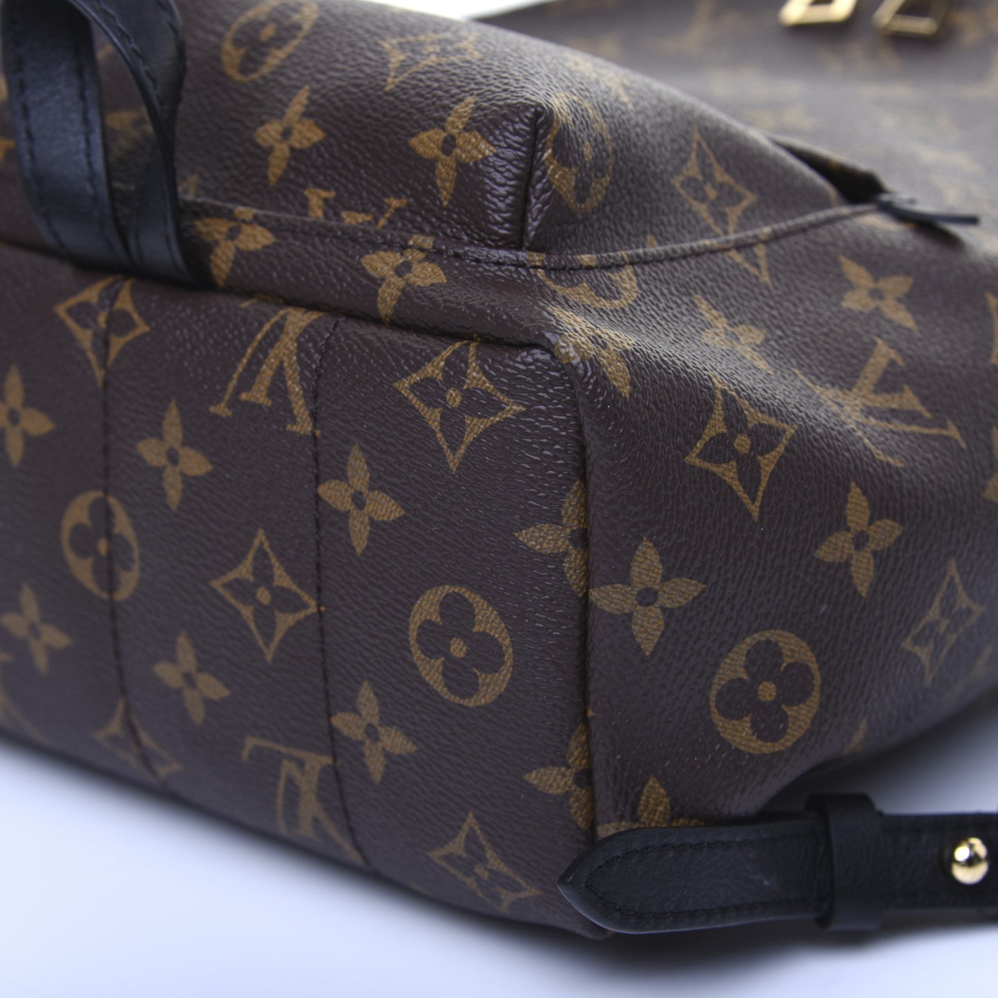 Monogram Palm Springs Backpack PM