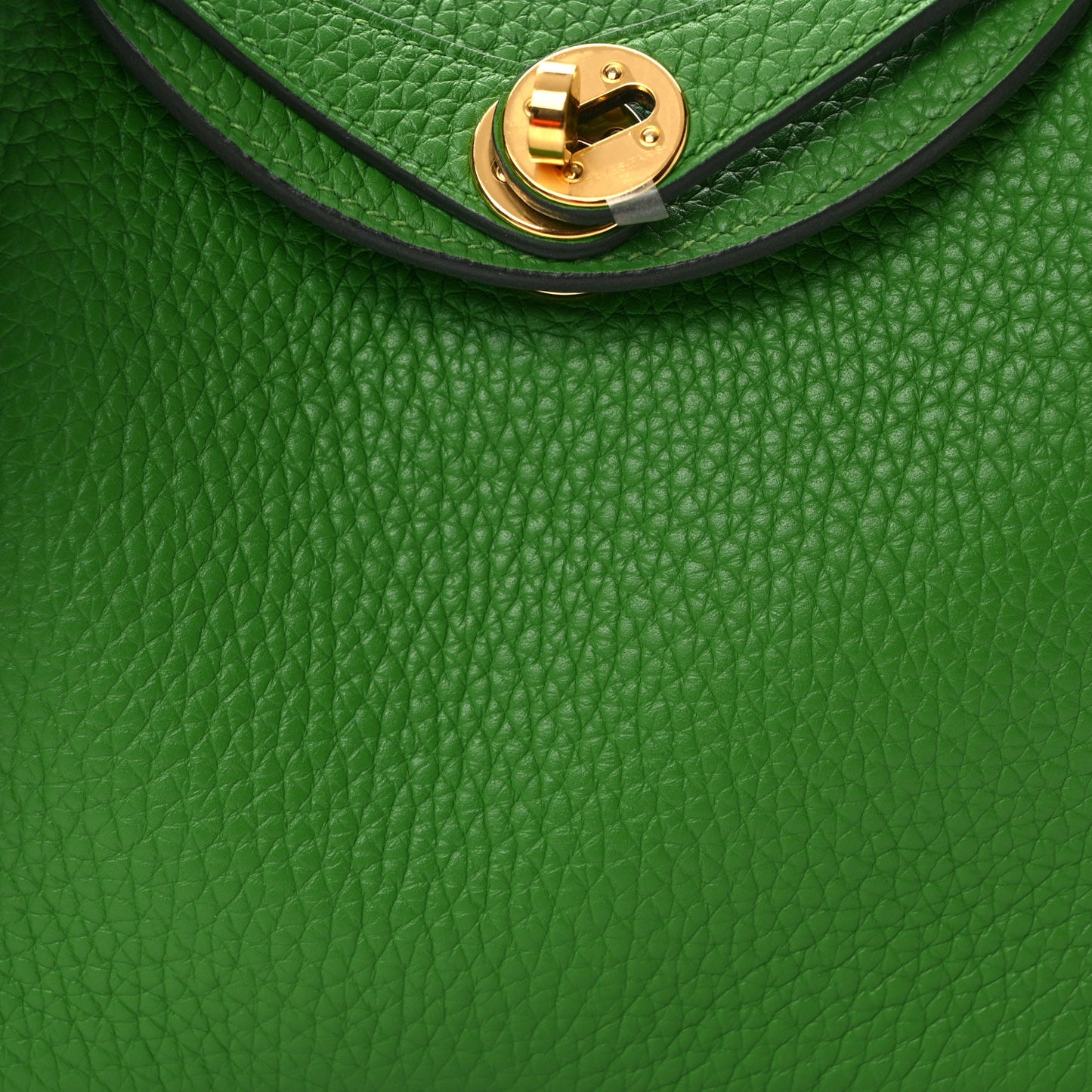 Taurillon Clemence Mini Lindy 20 Vert Yucca