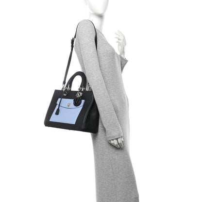Christian Dior Smooth Calfskin Tri-Color Diorissimo Pocket Tote Black Blue Red 2 of 10