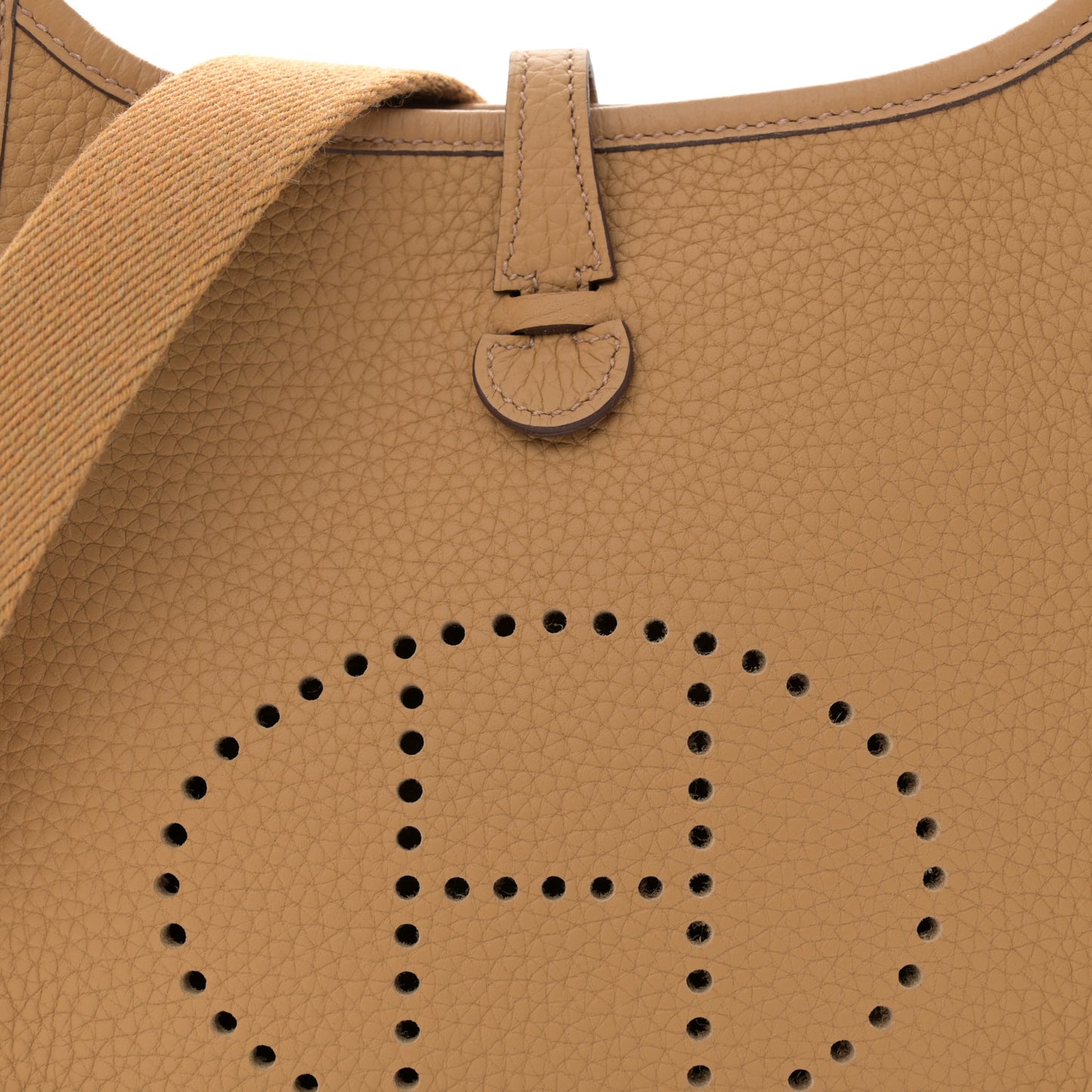 Taurillon Clemence Evelyne TPM Biscuit